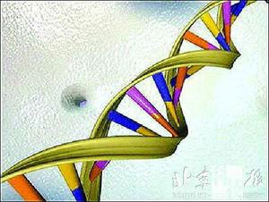 DNA,